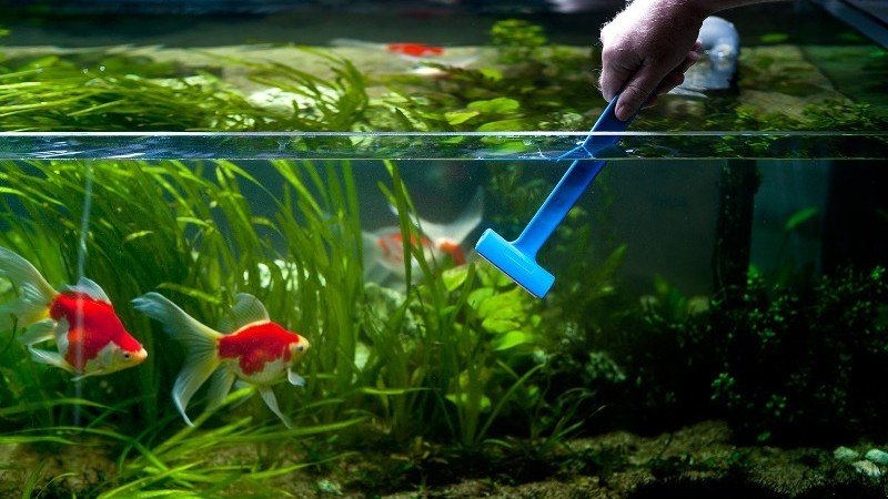 aquarium water fertilizer