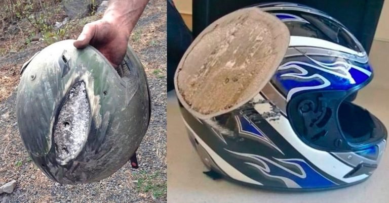 23 People Show Why It's Important To Always Wear A Helmet – Cook It