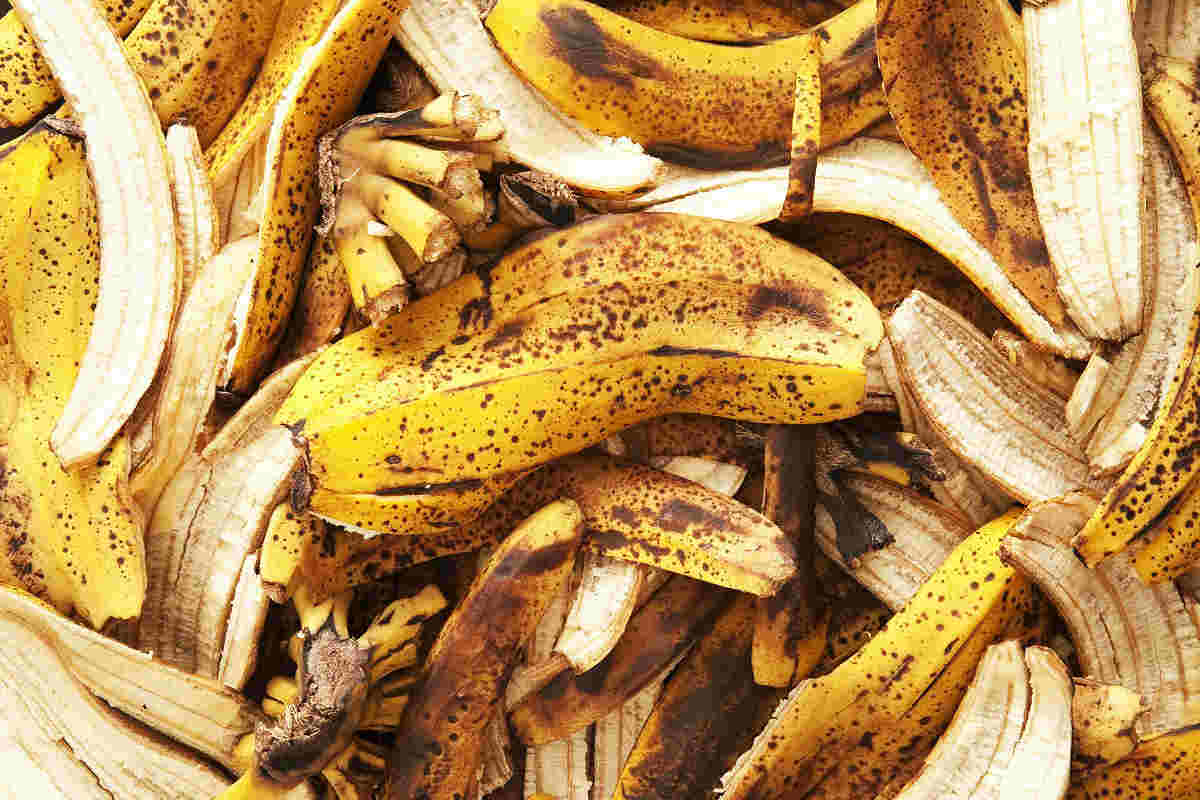 banana-peel-fertilizer-for-indoor-and-outdoor-plants-cook-it