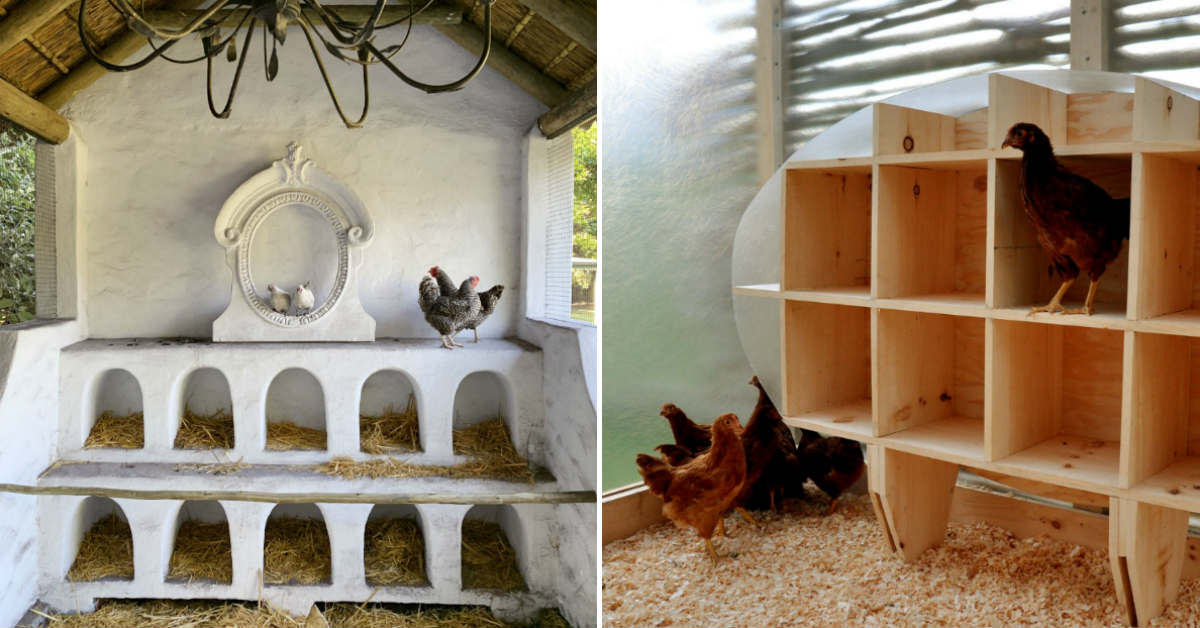  Chicken Coop Ideas Cook It