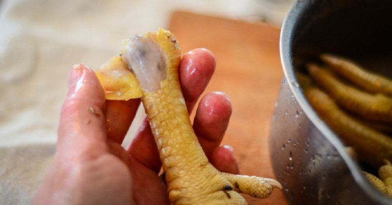 Chicken Feet Recipes – Cook It