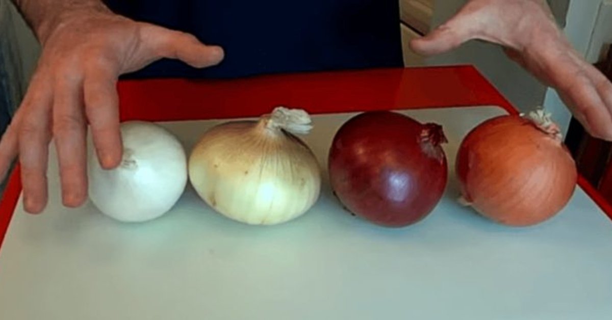 different types of onions