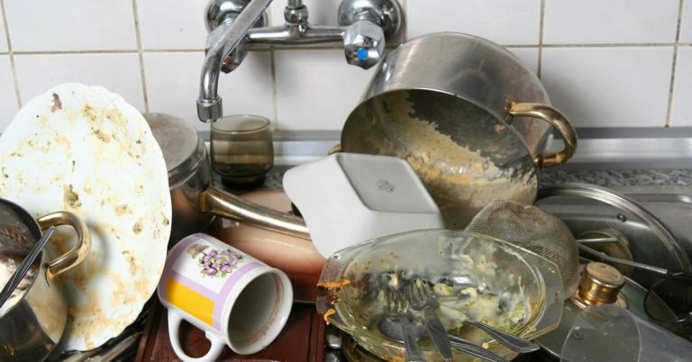 here-s-why-you-shouldn-t-leave-dirty-dishes-in-the-sink-cook-it