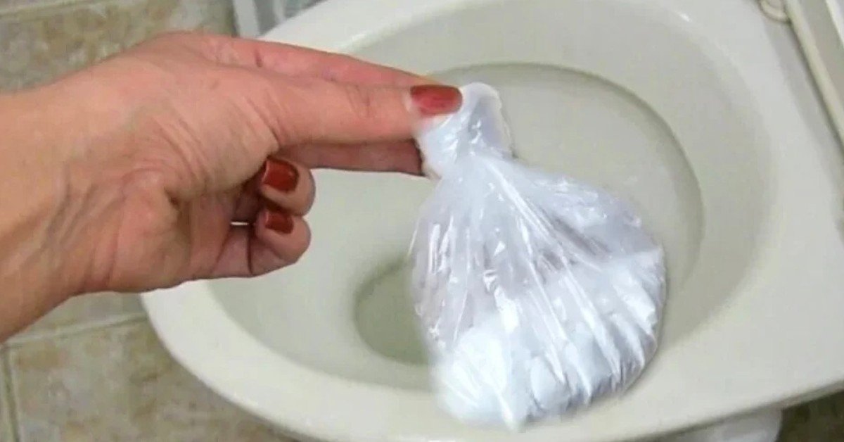 diy toilet bowl cleaner
