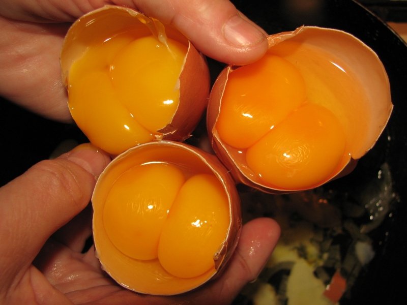 egg with 2 yolks