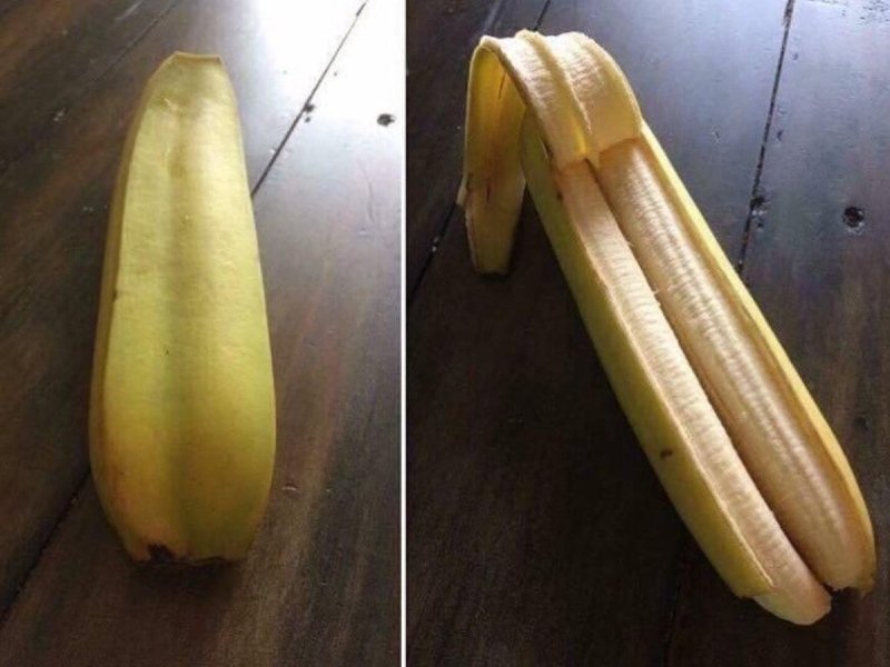people that won the food lottery