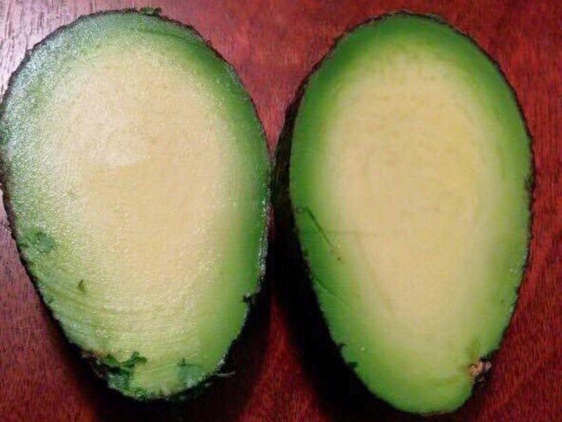 avocado with no pit