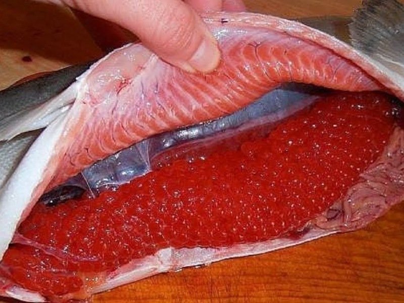 food lottery