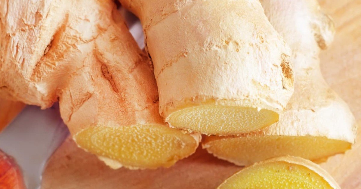 galangal ginger