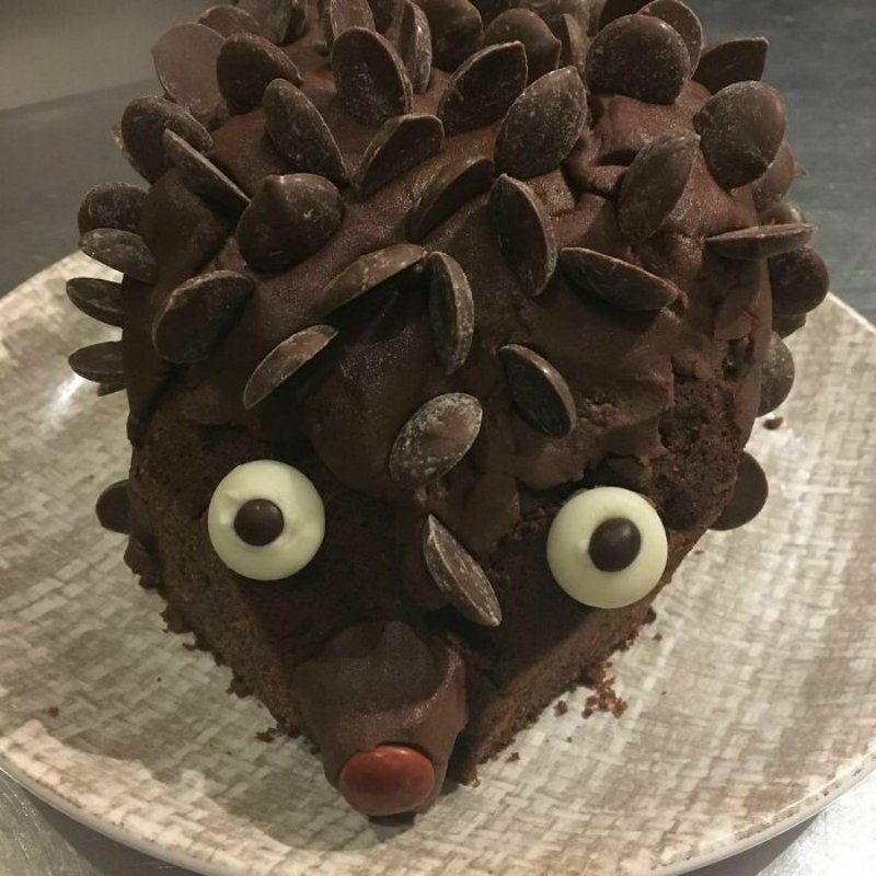 Hilarious Hedgehog Cake Fails – Cook It