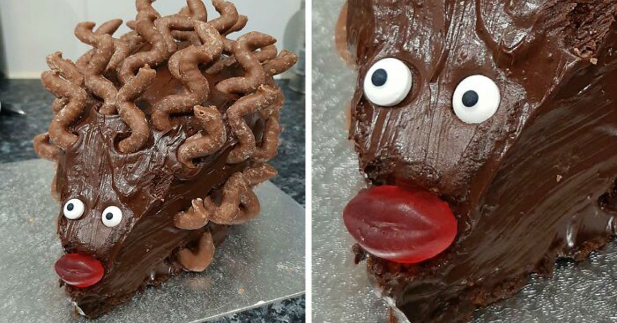 Hilarious Hedgehog Cake Fails – Cook It