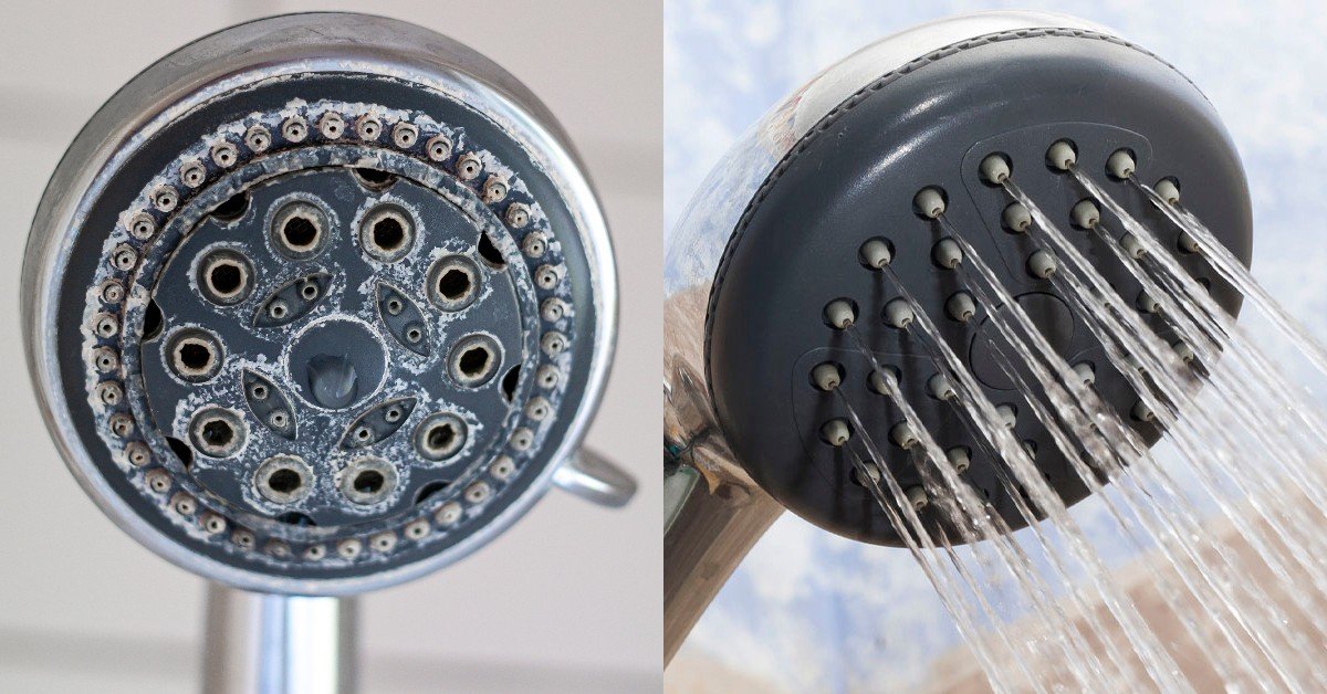 How to Clean a Shower Head Cook It