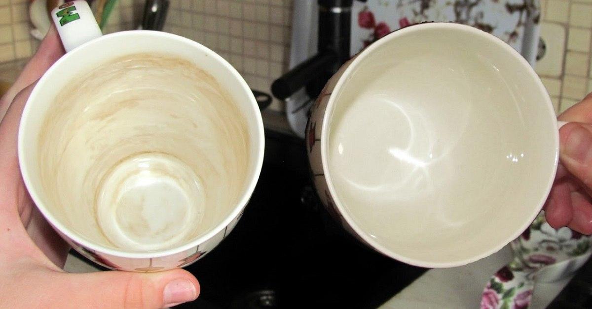 how-to-get-tea-stains-out-of-mug-and-why-plaque-occurs-cook-it