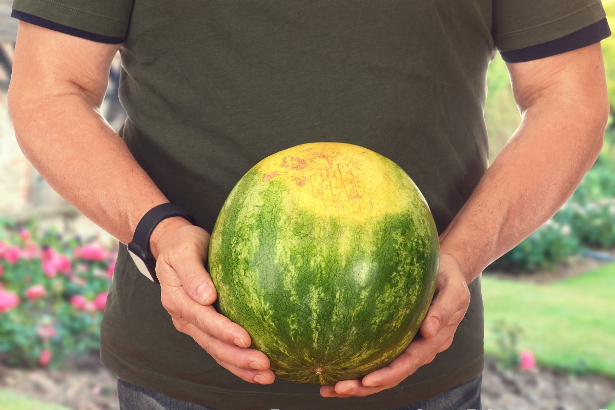 How to Pick a Watermelon: Five Key Tips - Cook It