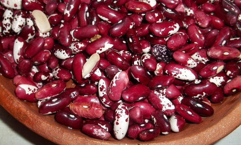 kidney beans