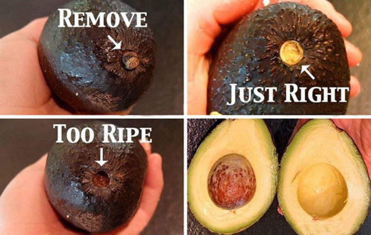 How To Ripen An Avocado – Cook It