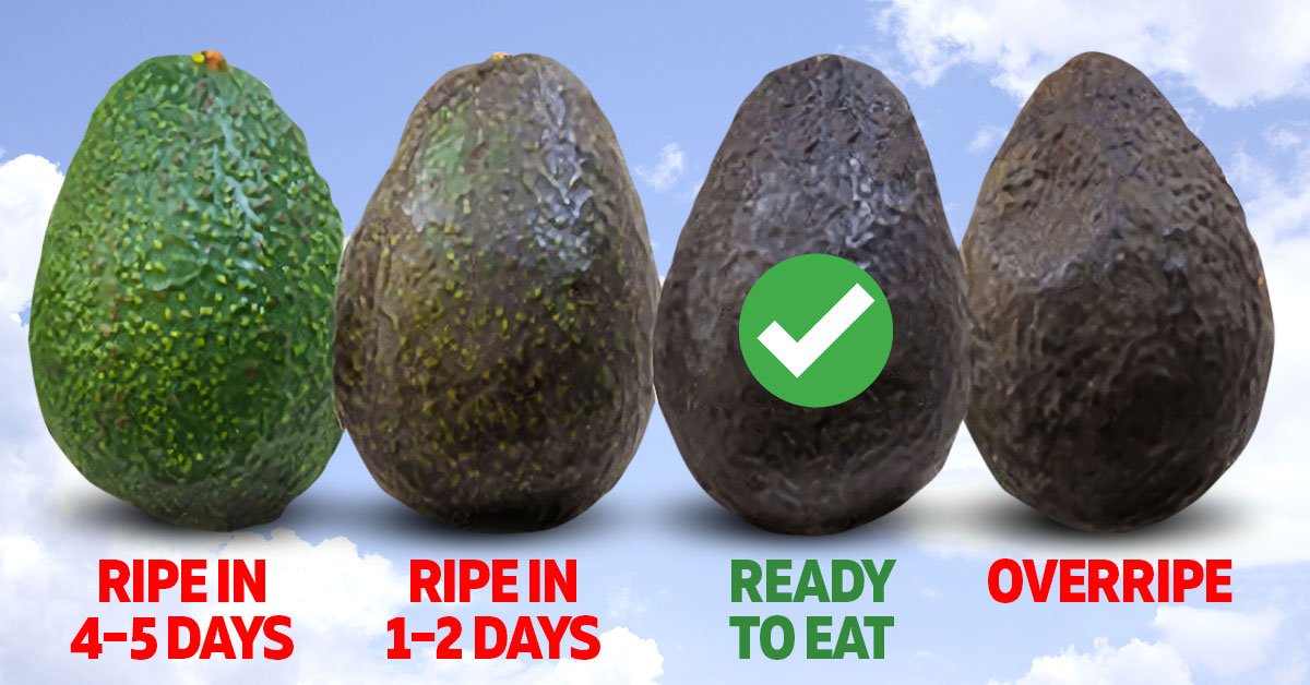 How to Ripen an Avocado – Cook It