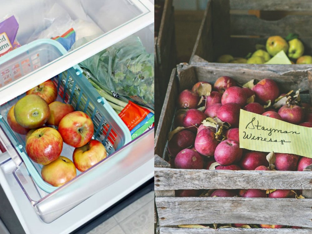 How to Store Apples Cook It