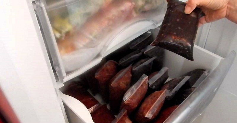 how to store food in freezer