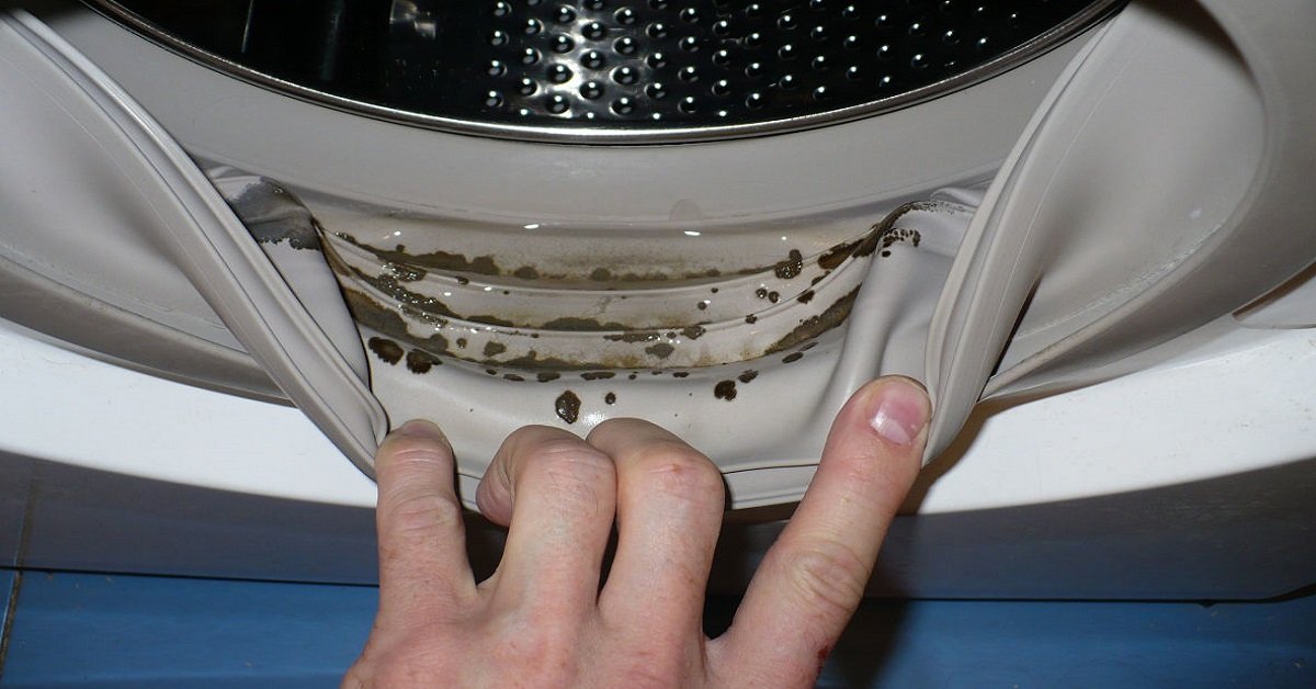 How To Get Rid Of Mold In Washing Machine Gasket at Richard Threlkeld blog