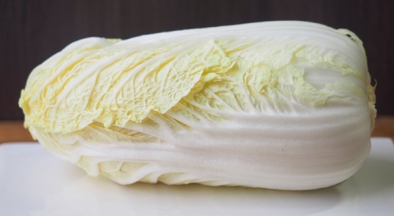 napa cabbage