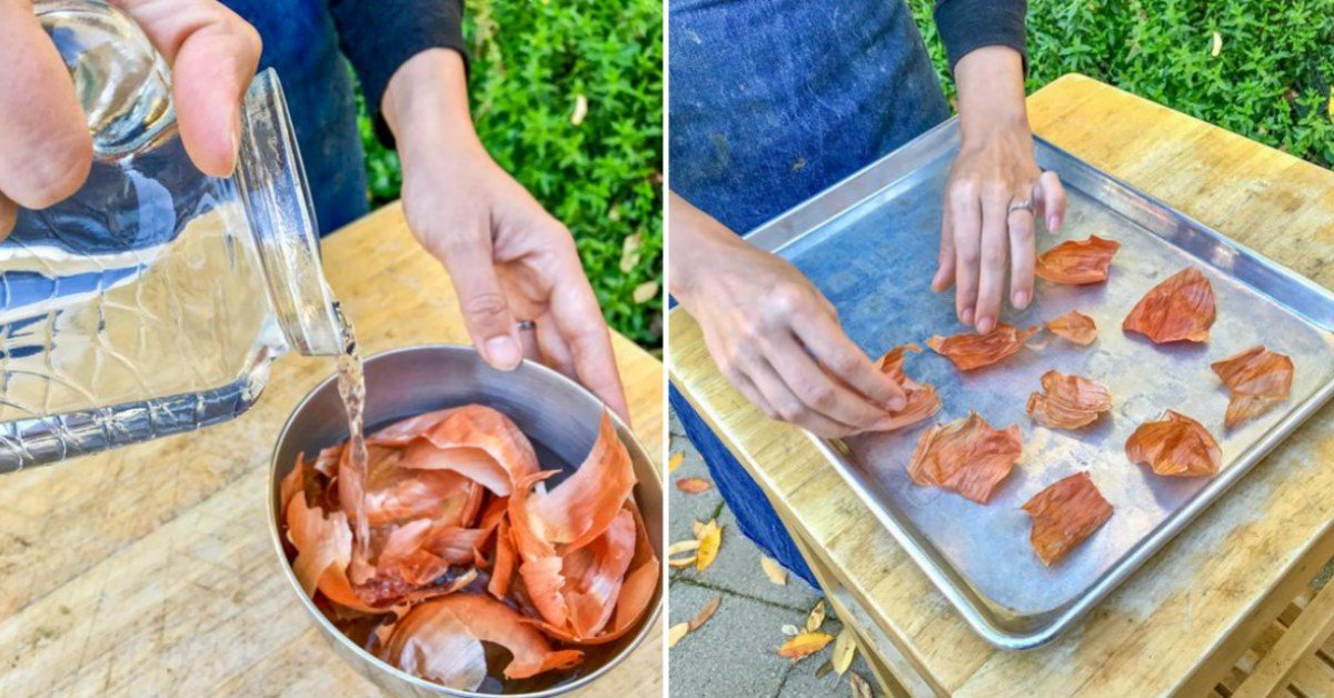 onion skins