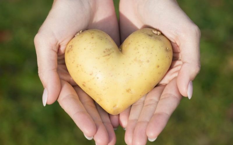 potatoes in skin care