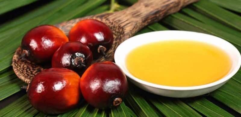 palm oil