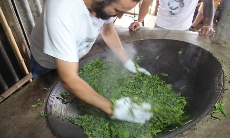 manufacturing process of pu-erh tea