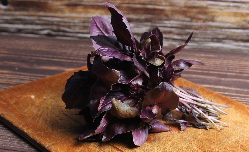 bunch of purple basil