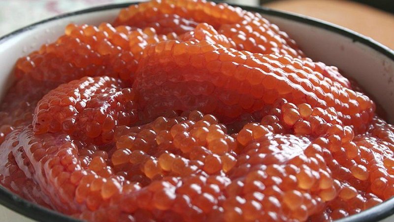 chum salmon caviar