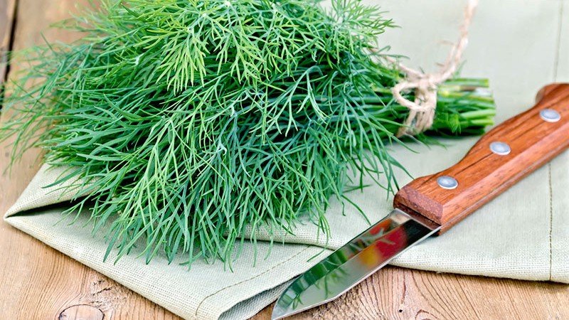 frozen dill