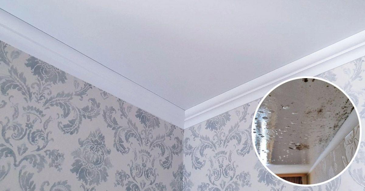 stretch ceiling