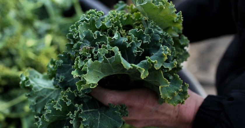 broccoli leaves