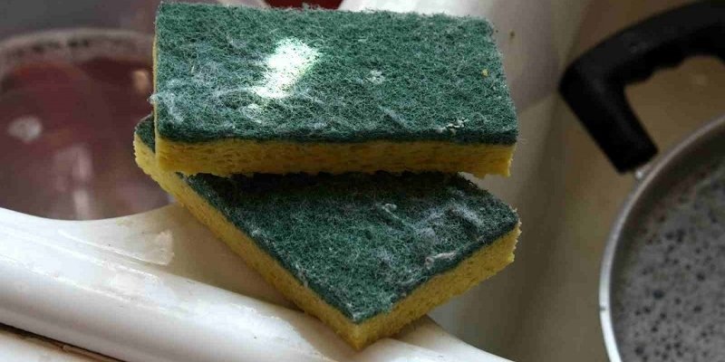 old sponge