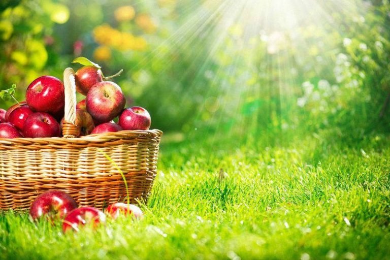 What to Do With Soap Scraps Cook It