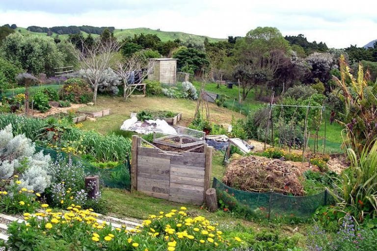 What to Do With Soap Scraps Cook It