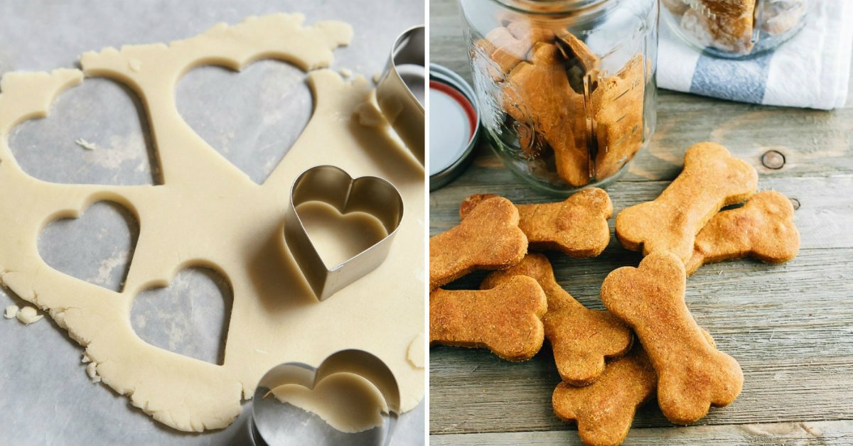 Dog Bone Cookies Recipe Cook It