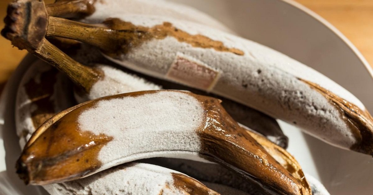 Creamy Frozen Banana Dessert