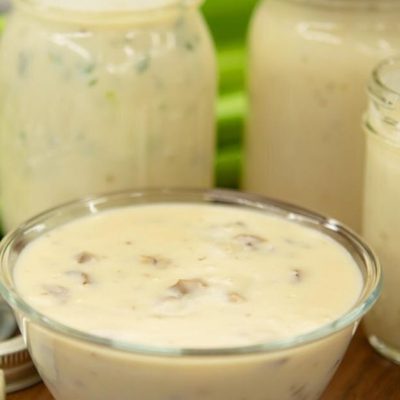 homemade cream soup base