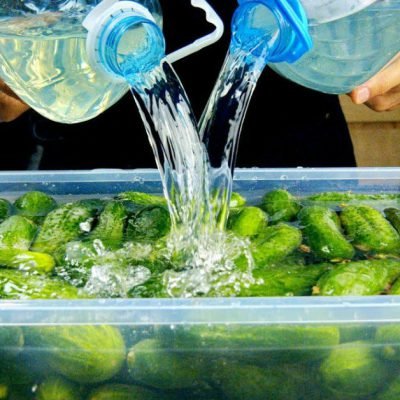 quick pickled cucumber