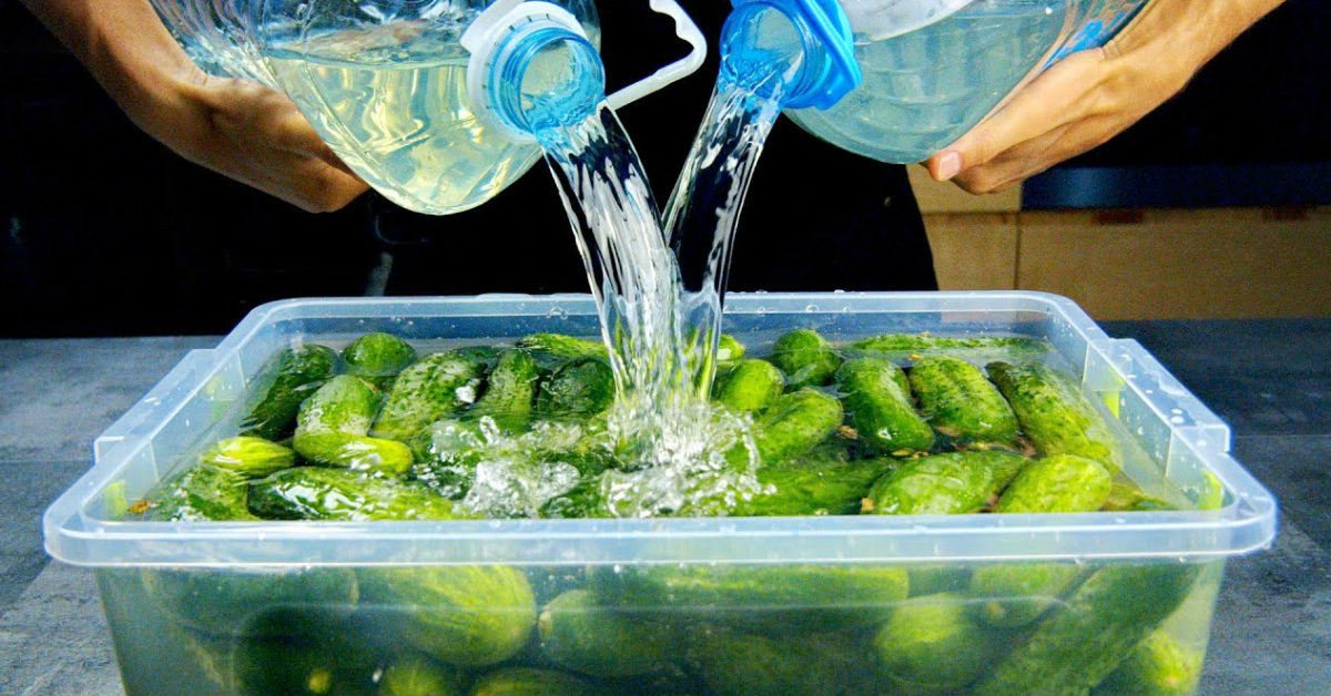 Quick Pickled Cucumber