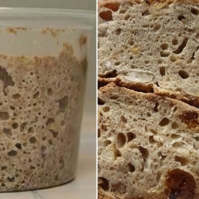 rye sourdough starter