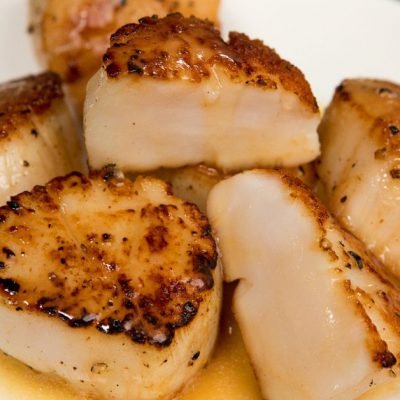 seared scallops