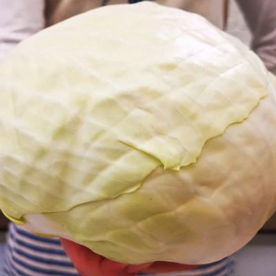 stewed cabbage