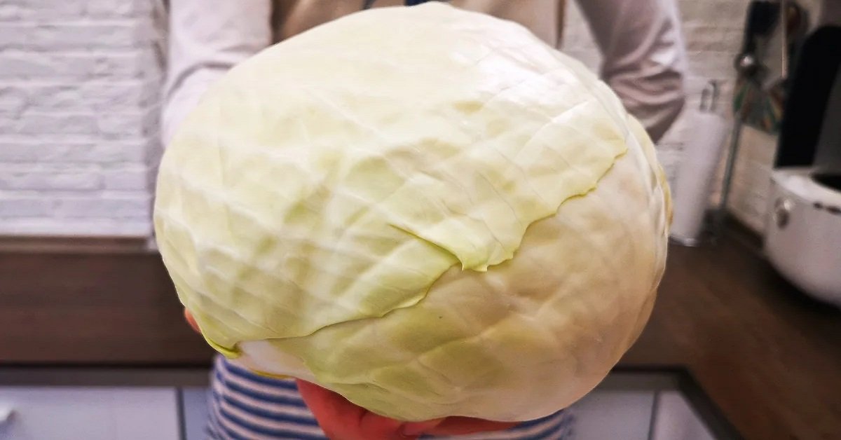 German Stewed Cabbage