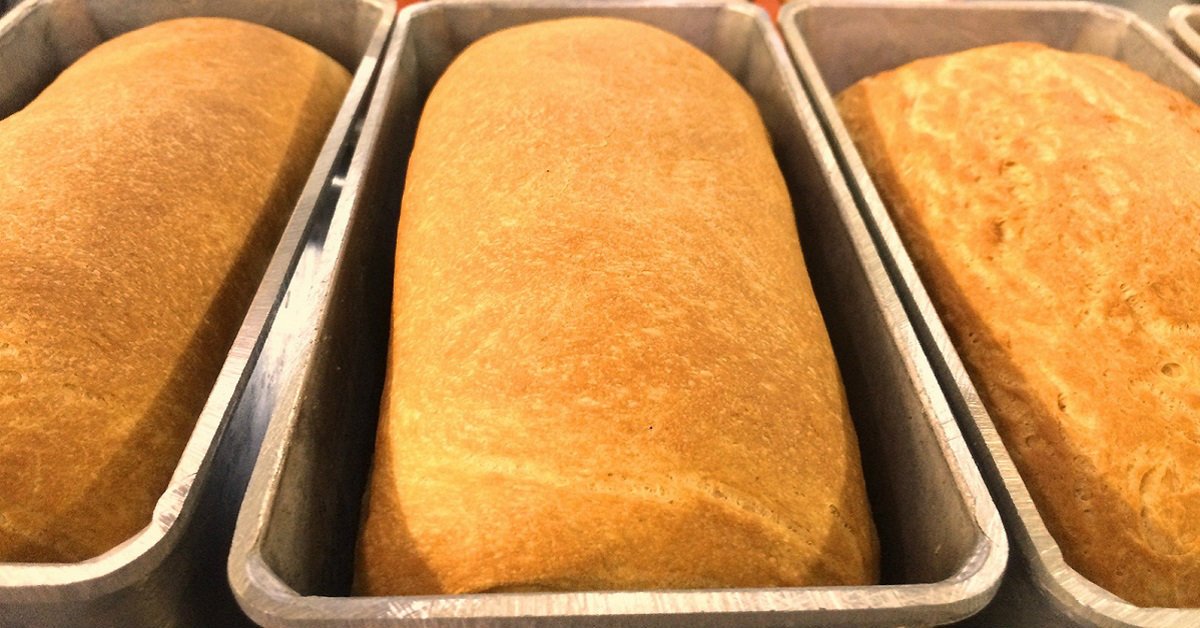 White Homemade Bread